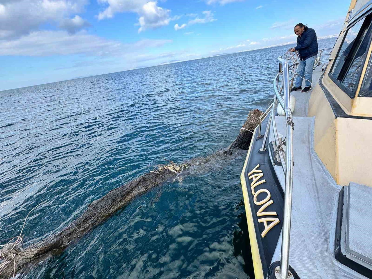 MARMARA DENİZİ YALOVA AÇIKLARINDA DENİZ YÜZEYİNDE BULUNAN VE DENİZ TRAFİĞİ İÇİN TEHLİKE ARZ EDEN...
