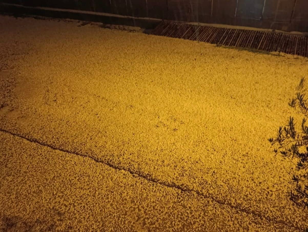 MERSİN'DE BUGÜN ANAMUR, AYDINCIK, SİLİFKE VE ERDEMLİ İLÇELERİNDE SONRA AKŞAM SAATLERİNDE...