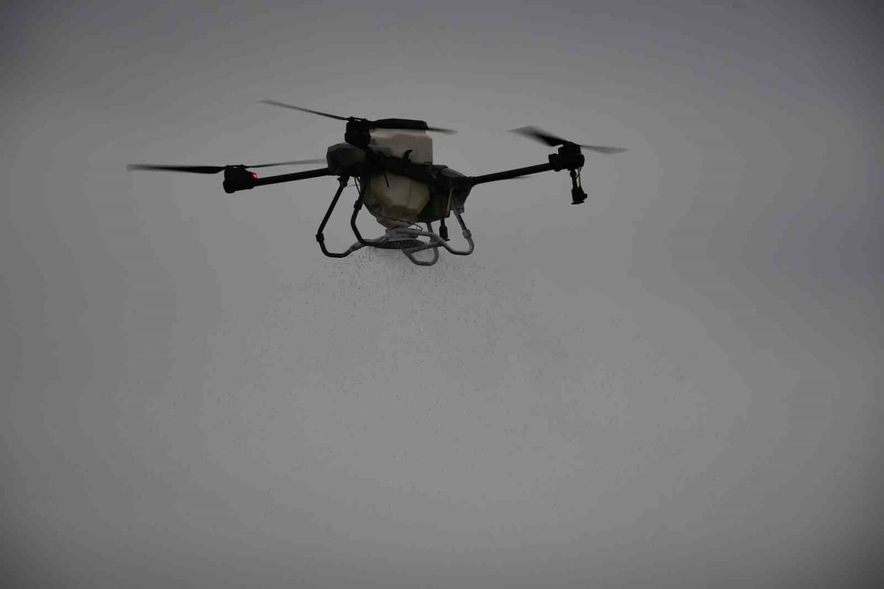 MERSİN'DE ÇİFTÇİLER TARLALARINI DRONLA GÜBRELEME YAPIYOR