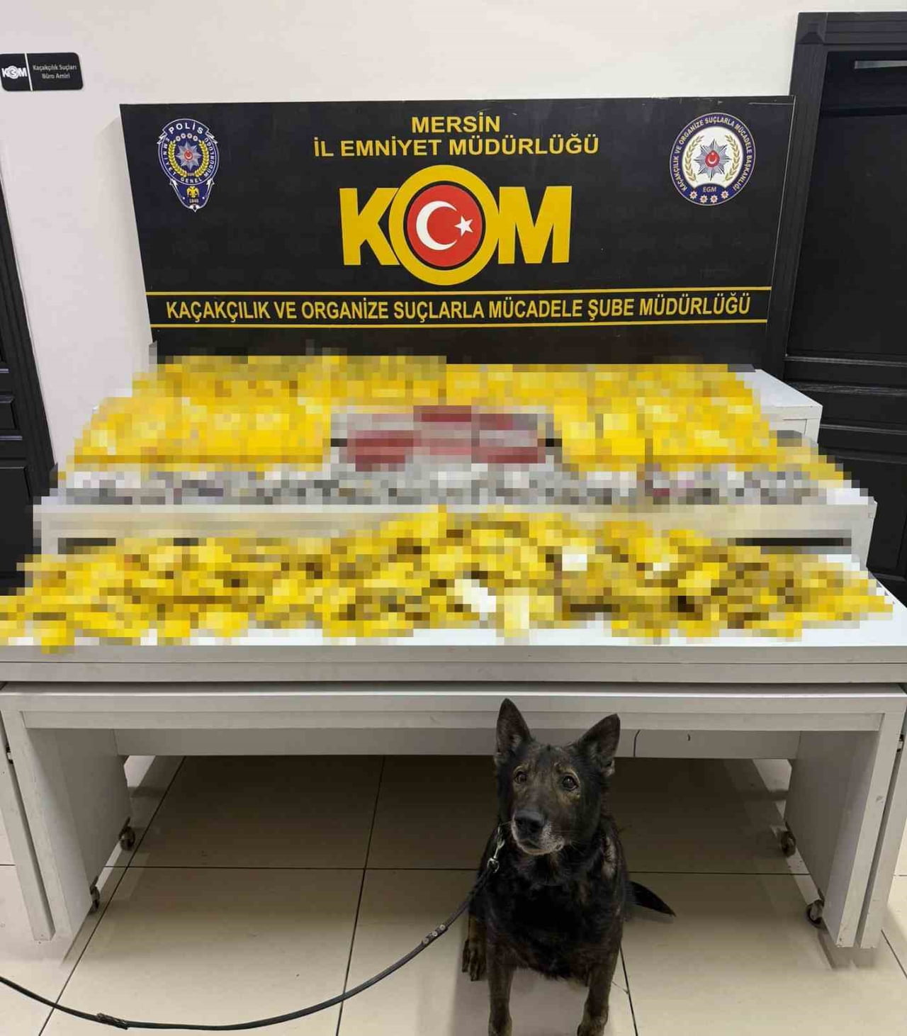 MERSİN'DE POLİS EKİPLERİNCE YAPILAN ÇALIŞMADA, BİNLERCE GÜMRÜK KAÇAĞI ELEKTRONİK SİGARA, TÜTÜN VE...