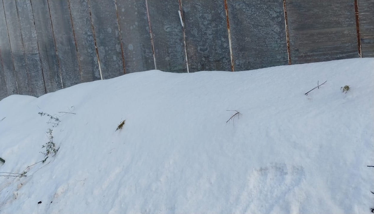 MERSİN'İN ANAMUR İLE AYDINCIK İLÇELERİNDE DOLU TARIM ALANLARINA ZARAR VERDİ, BAZI SERALARI KISMEN...