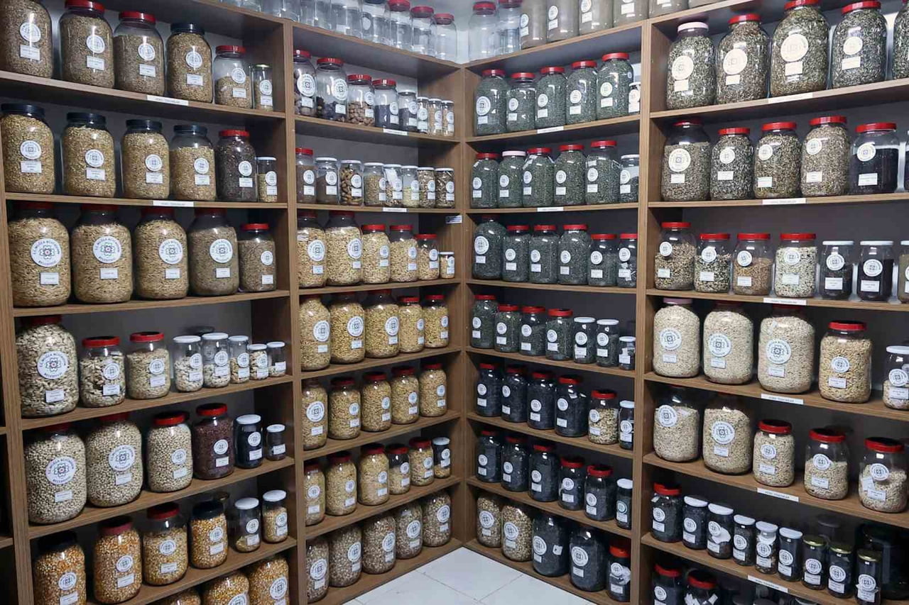 MUĞLA BÜYÜKŞEHİR 2026 YILINDA 3 MİLYON ATA TOHUMU DAĞITACAK