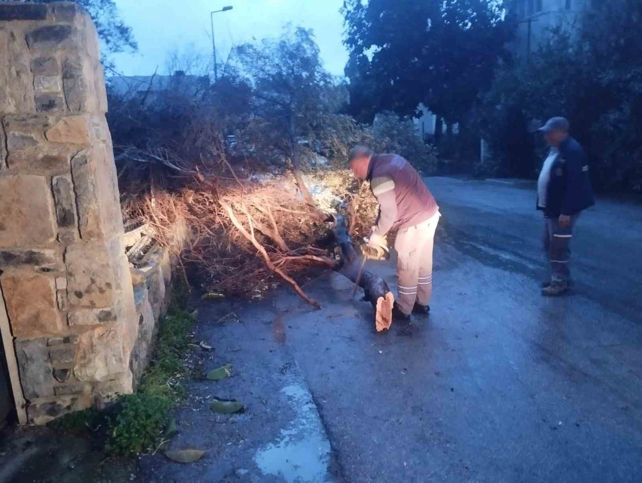 MUĞLA’NIN BODRUM İLÇESİNDE DÜNDEN BERİ ETKİLİ OLAN FIRTINA NEDENİYLE AĞAÇLAR DEVRİLDİ, TEKNELER SU...