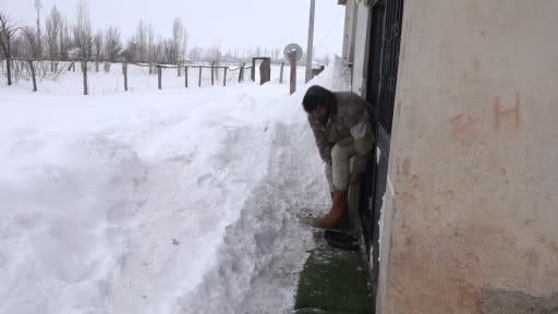 Muş’ta besicilerden alternatif yem yöntemi