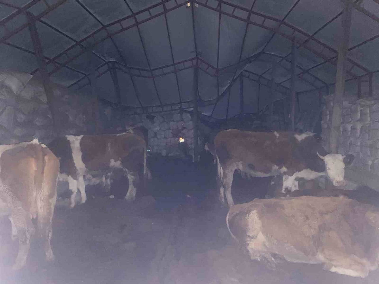 OVACIK’TA GERÇEĞİ YANSITMAYAN İHBAR NEDENİYLE 2 İŞ MAKİNESİ VE 20 KİŞİLİK EKİP 15 SAAT SAHADA...