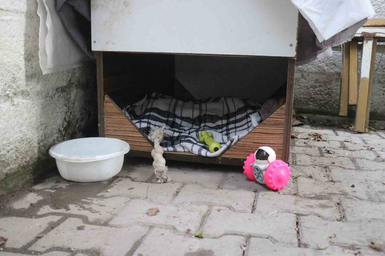 SAKARYA'NIN ADAPAZARI İLÇESİNDE EVİNİN BAHÇESİNDEN ÇALINAN 56 YAŞINDAKİ KADININ EVLADI GİBİ...