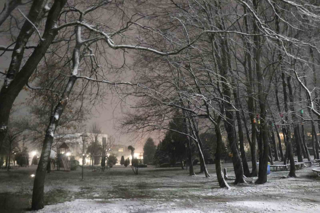 SAKARYA'NIN YÜKSEK KESİMLERİNDE ETKİLİ OLAN KAR YAĞIŞI ŞEHİR MERKEZİNDE DE BAŞLADI. LAPA LAPA...