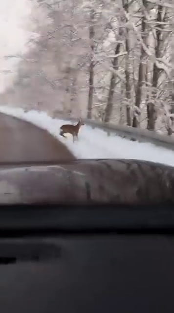 SAKARYA’NIN AKYAZI İLÇESİNDE KAR KEYFİ YAPMAK İÇİN YÜKSEK KESİMLERE ÇIKAN BİR AİLE YOLA İNEN...