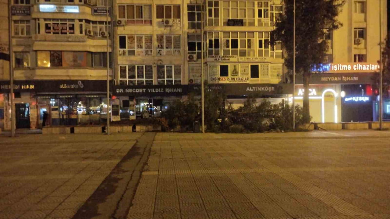 SAMSUN'DA KUVVETLİ FIRTINA NEDENİYLE CUMHURİYET MEYDANI'NDAKİ ÇAM AĞACI KÖKÜNDEN YIKILDI.