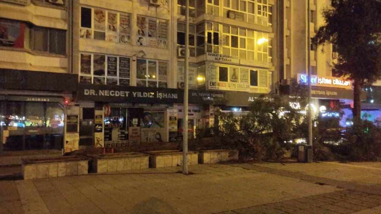 SAMSUN'DA KUVVETLİ FIRTINA NEDENİYLE CUMHURİYET MEYDANI'NDAKİ ÇAM AĞACI KÖKÜNDEN YIKILDI.