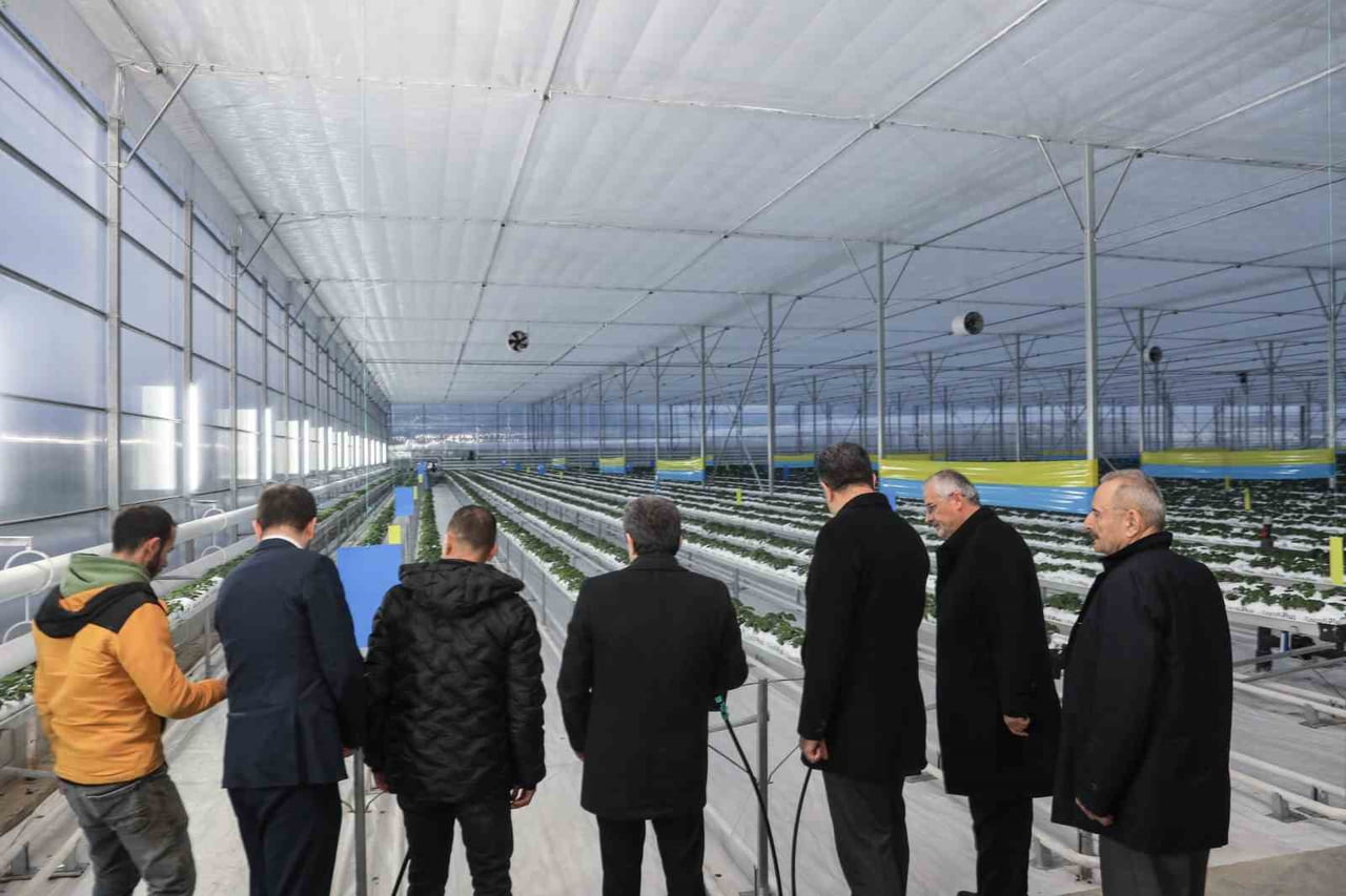 SAMSUN VALİSİ ORHAN TAVLI, BAFRA SERA ORGANİZE TARIM BÖLGESİ’NDE İLERİ TEKNOLOJİYLE TOPRAKSIZ...