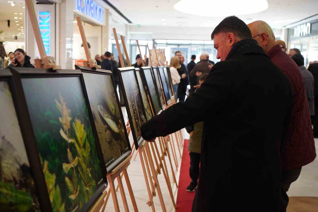 SAPANCA GÖLÜ'NÜN SU ALTI FOTOĞRAFLARINDAN OLUŞAN VE SAKARYA'DAN GAZZE'YE TEMALI SERGİNİN GELİRLERİ...