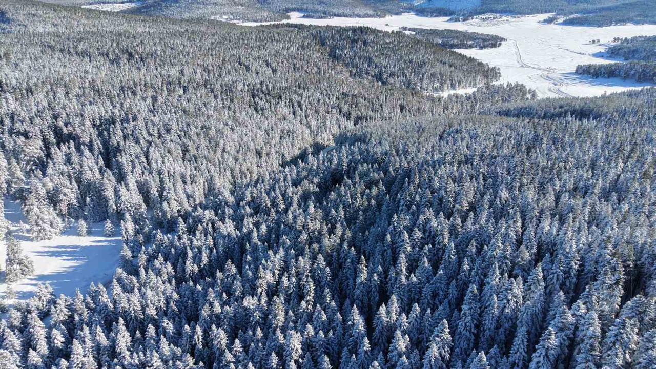 SARIALAN YAYLASI, KIŞ MEVSİMİNİN GELMESİYLE BİRLİKTE BEYAZ ÖRTÜYLE KAPLANDI