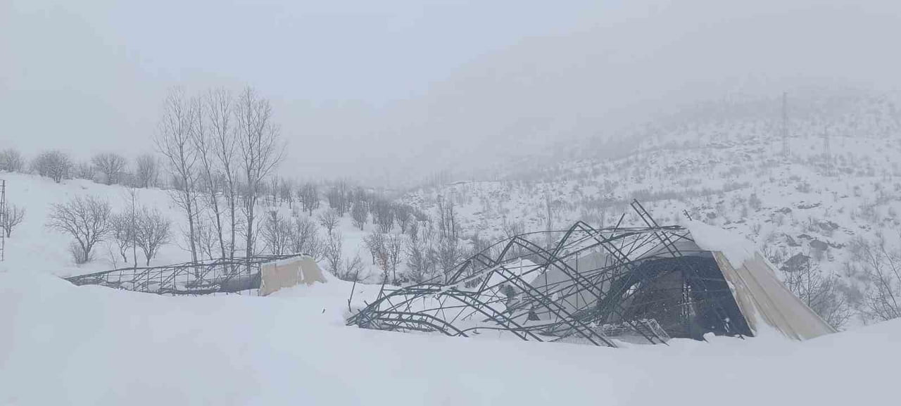 ŞIRNAK'IN BEYTÜŞŞEBAP İLÇESİNDE YOĞUN KAR YAĞIŞINA DAYANAMAYAN HALI SAHANIN DEMİRLERİ...