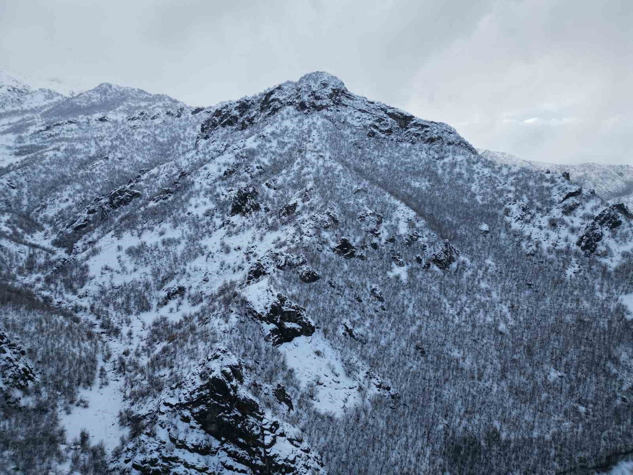 ŞIRNAK’IN BEYTÜŞŞEBAP İLÇESİNDE AŞIRI KAR YAĞIŞI SONRASI BAL ORMANLARI OLARAK BİLİNEN MEŞE...