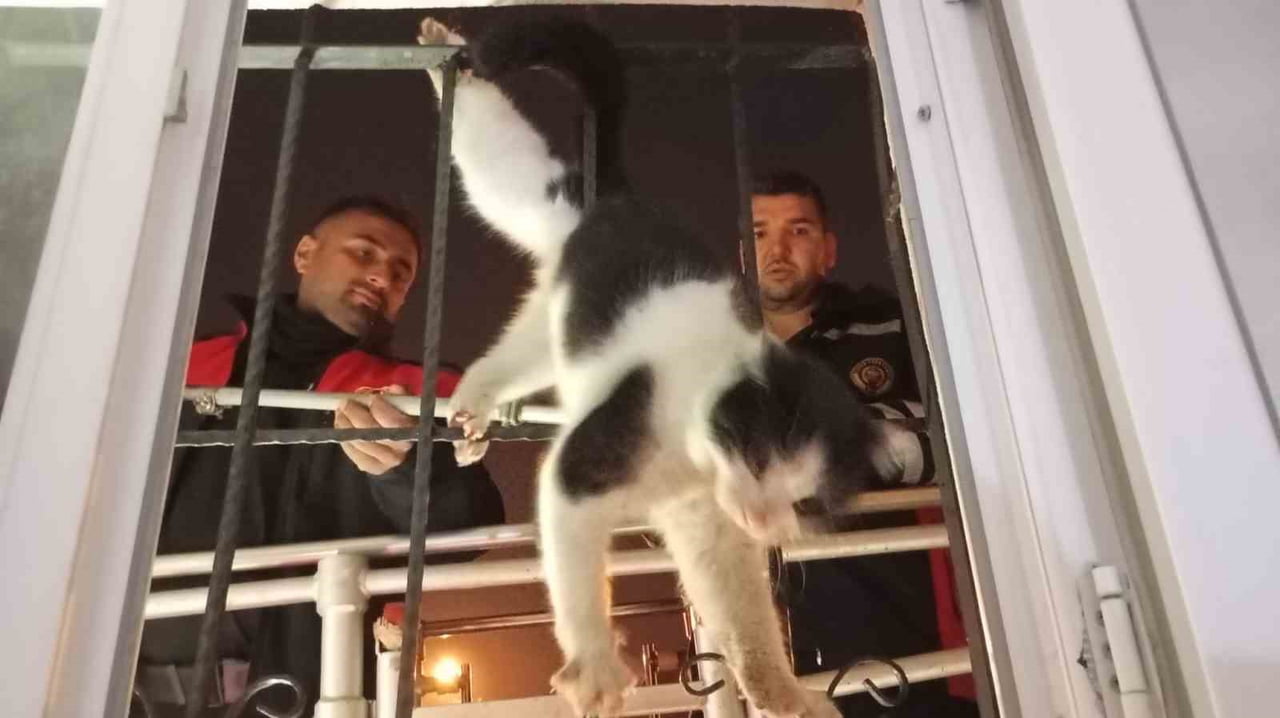 ŞIRNAK’IN CİZRE İLÇESİNDE DAMDAN DÜŞEREK AYAĞI DEMİR KORKULUKLARA SIKIŞAN KEDİ, İTFAİYE...