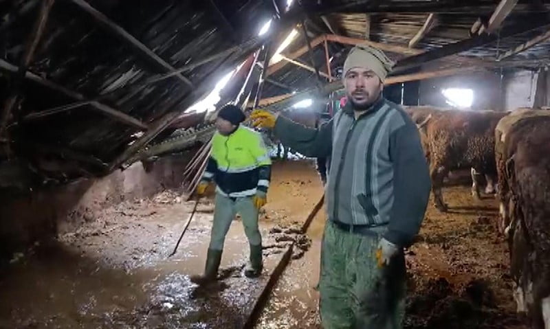 SİVAS'IN ALTINYAYLA İLÇESİNDE BİR AHIRIN ÇATISI BİRİKEN KARA DAYANAMAYARAK ÇÖKTÜ