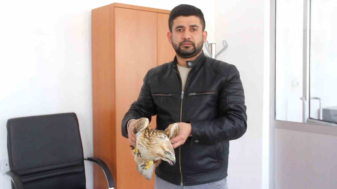 SİVAS’IN ZARA İLÇESİNDEKİ GENÇLİK MERKEZİ BAHÇESİNDE PERSONELLER TARAFINDAN HASTALIKLI HALDE...