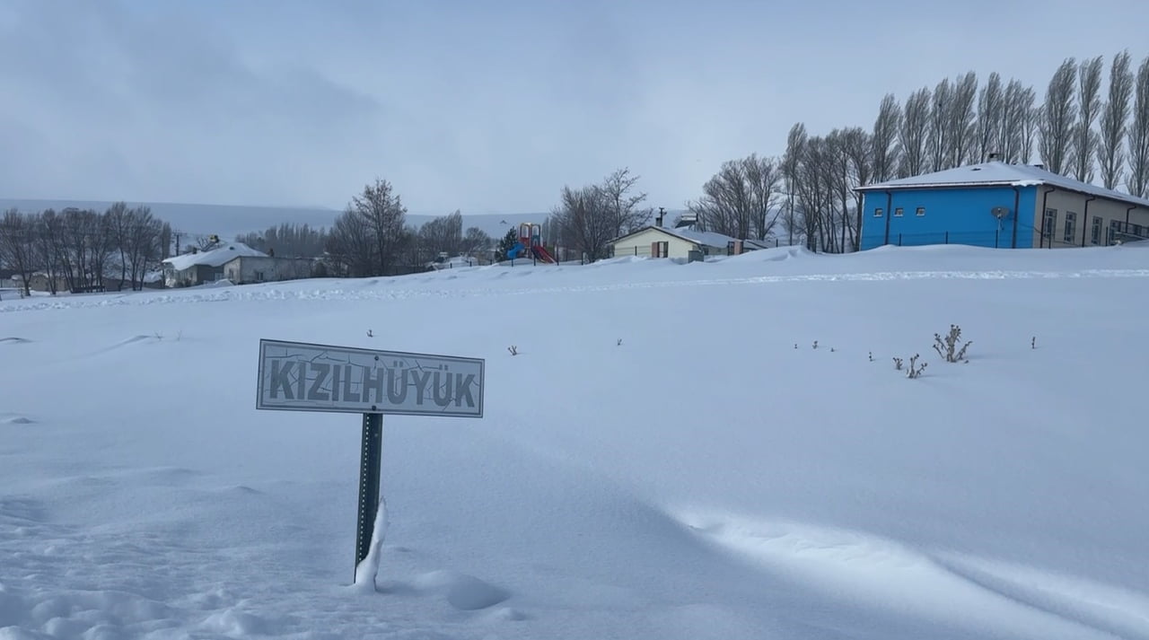 SİVAS’TA BİR KÖYE MUSALLAT OLAN VE KÖPEKLERİ TELEF EDEN KURTLAR İÇİN KÖY ÇEVRESİNE YİYECEK...