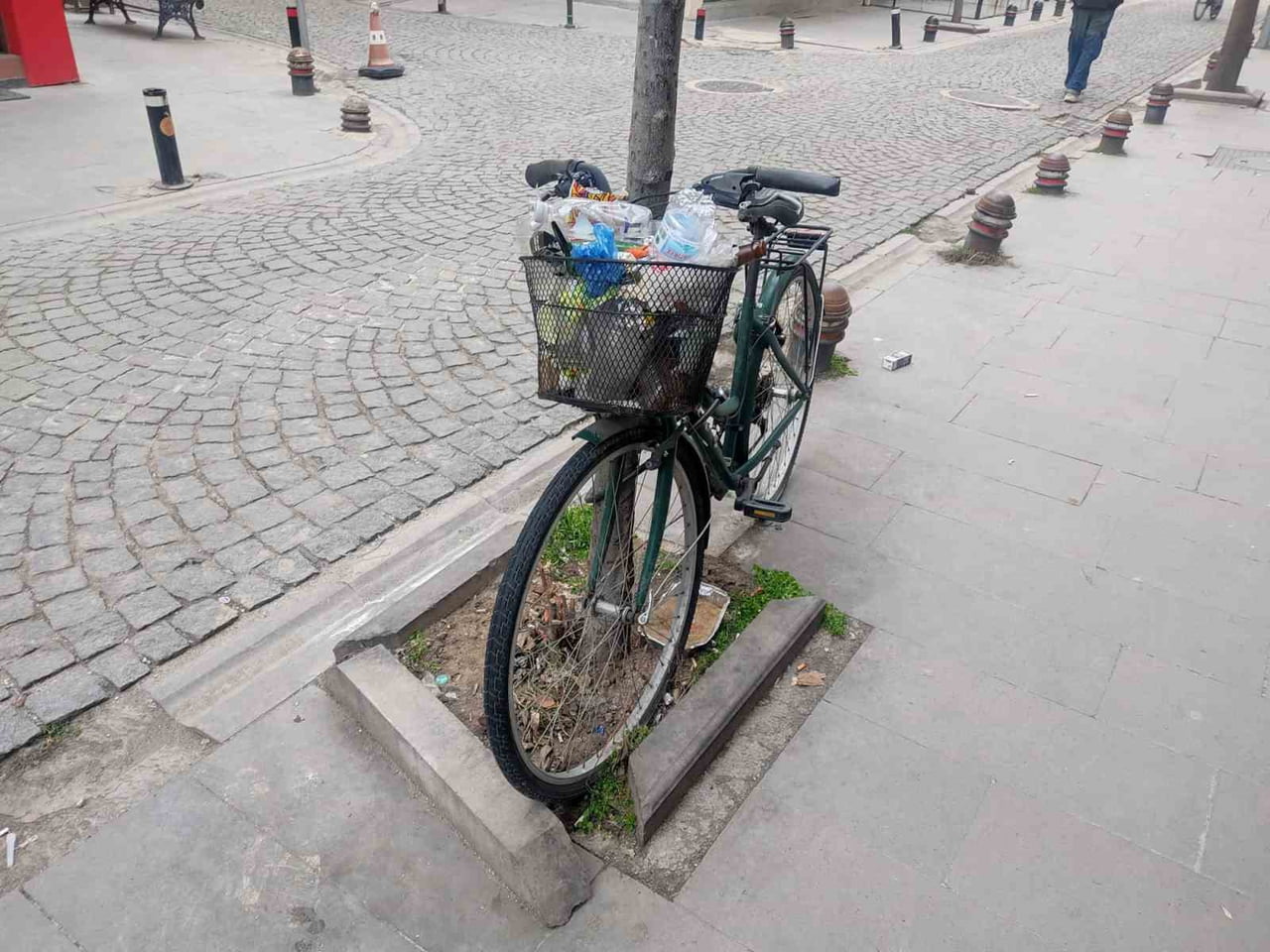 SKİŞEHİR'DE AYLARDIR BİR AĞACA KİLİTLİ HALDE DURAN BİSİKLETİN SEPETİ, DUYARSIZ VATANDAŞLARIN...