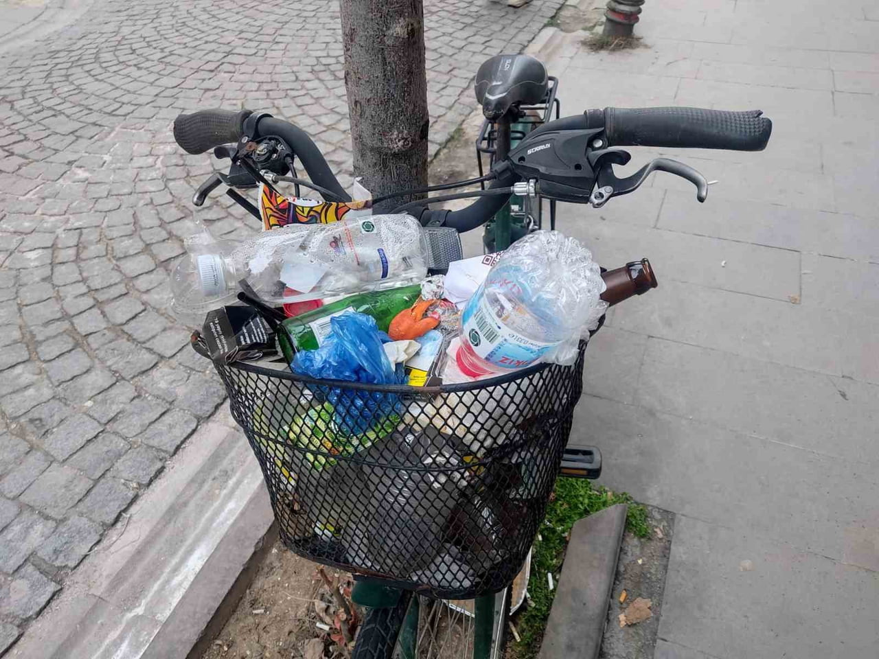 SKİŞEHİR'DE AYLARDIR BİR AĞACA KİLİTLİ HALDE DURAN BİSİKLETİN SEPETİ, DUYARSIZ VATANDAŞLARIN...