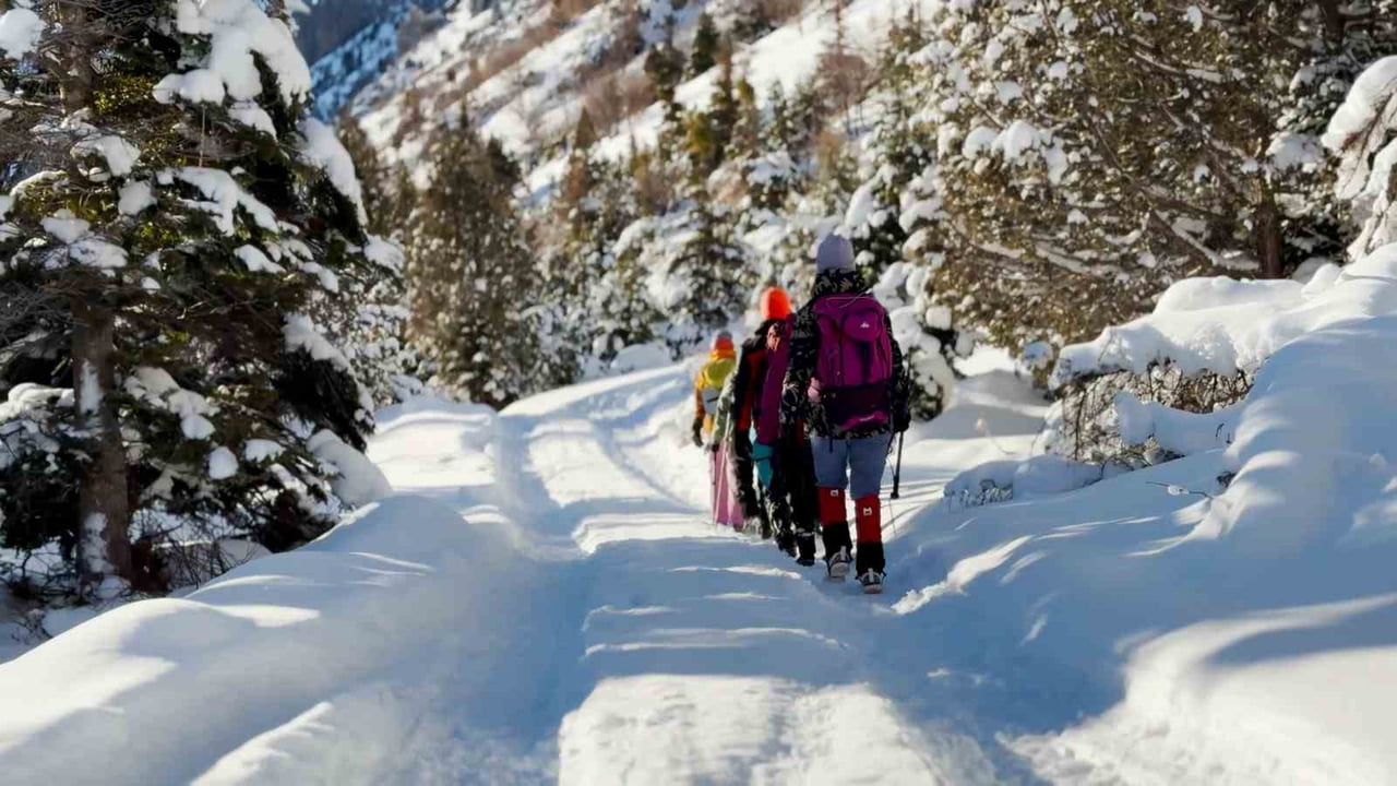 SUNDUĞU DOĞAL GÜZELLİKLERLE YILIN HER DÖNEMİ DOĞASEVERLERİN İLGİSİNİ ÇEKEN ALADAĞLAR, KIŞ...