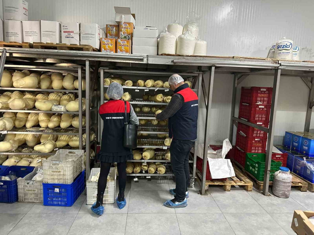 TARIM VE ORMAN BAKANLIĞI GIDA VE KONTROL GENEL MÜDÜR YARDIMCISI FATİH KAYA, YAPTIKLARI...