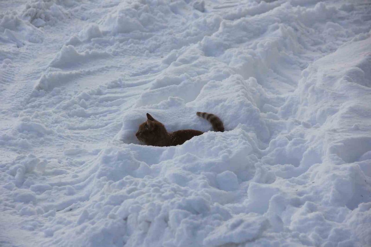 TERMOMETRELERİN EKSİ 21 DERECEYİ GÖSTERDİĞİ SİVAS’TA KIZILIRMAK’IN YÜZEYİ BUZLA KAPLANDI. SİVASLI...