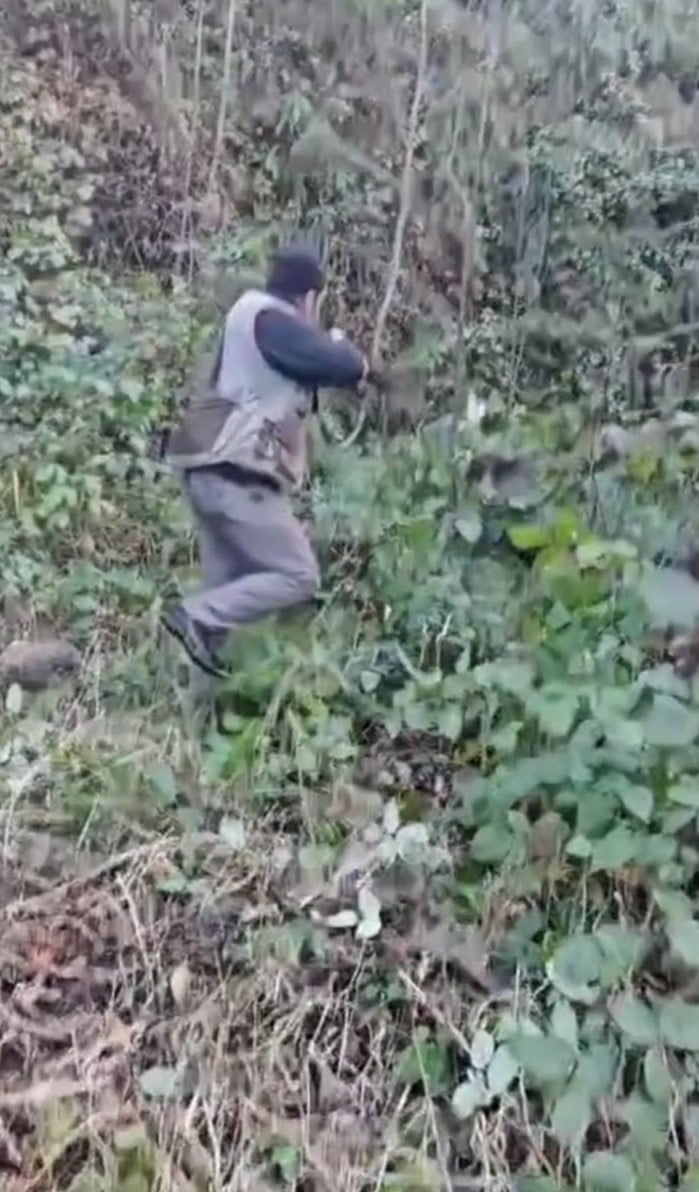 TRABZON’DA AVA ÇIKAN AVCILAR KARŞILAŞTIKLARI DOMUZUN SALDIRISINA UĞRADI. O ANLAR CEP TELEFONU...