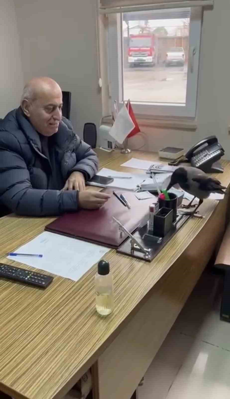 TRABZON’UN BEŞİKDÜZÜ İLÇESİNDE BELEDİYE BAŞKANI CAHİT ERDEM’İN BİR KARGA İLE KURDUĞU İLGİNÇ...