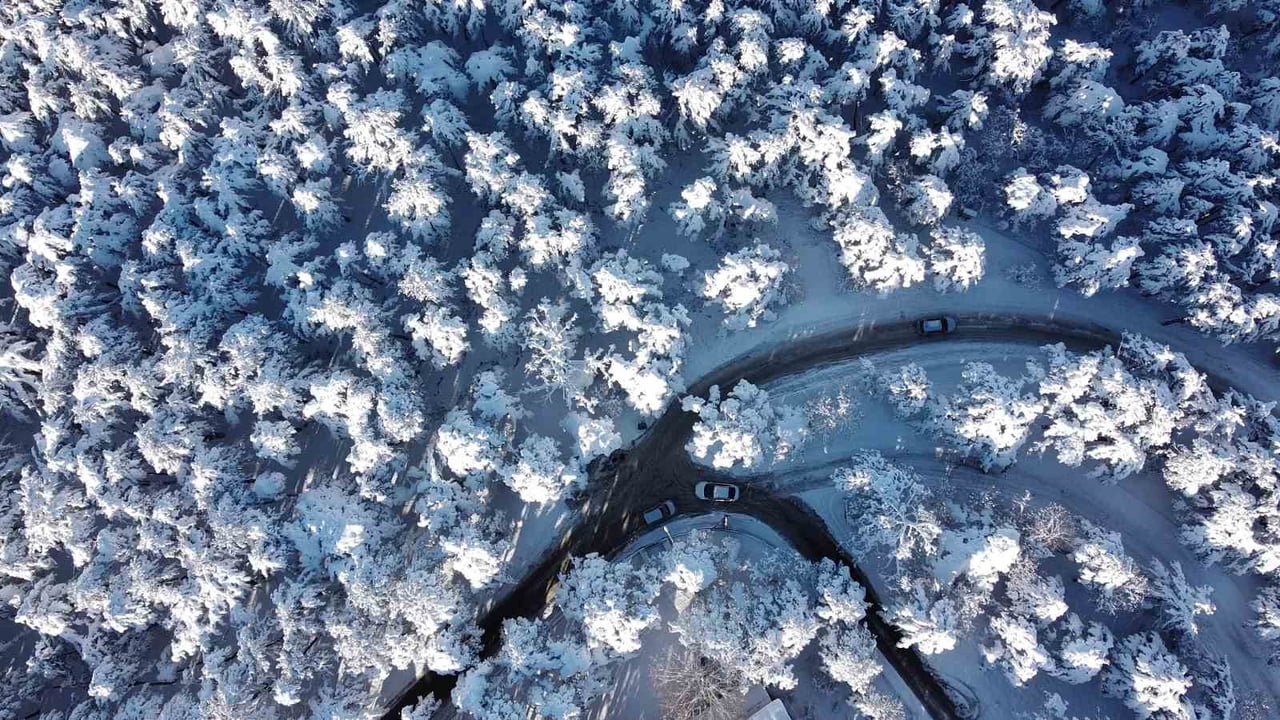 TÜRKİYE’NİN İLK MİLLİ PARKI OLMA ÖZELLİĞİNİ TAŞIYAN YOZGAT ÇAMLIĞI, ETKİLİ OLAN YOĞUN KAR...