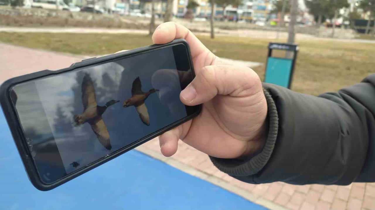 TÜRKİYE’NİN ÖNEMLİ KUŞ CENNETLERİ ARASINDA YER ALAN KONYA VE ISPARTA İLLERİ İÇERİSİNDE YER ALAN...