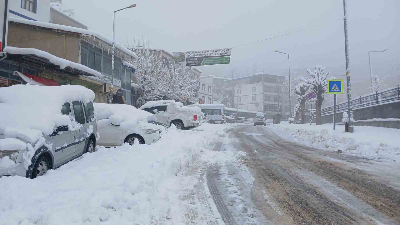 ÜÇ GÜNDÜR ARALIKSIZ SÜREN KAR YAĞIŞI DİYARBAKIR’IN KULP İLÇESİNDE HAYATI DURMA NOKTASINA GETİRDİ....