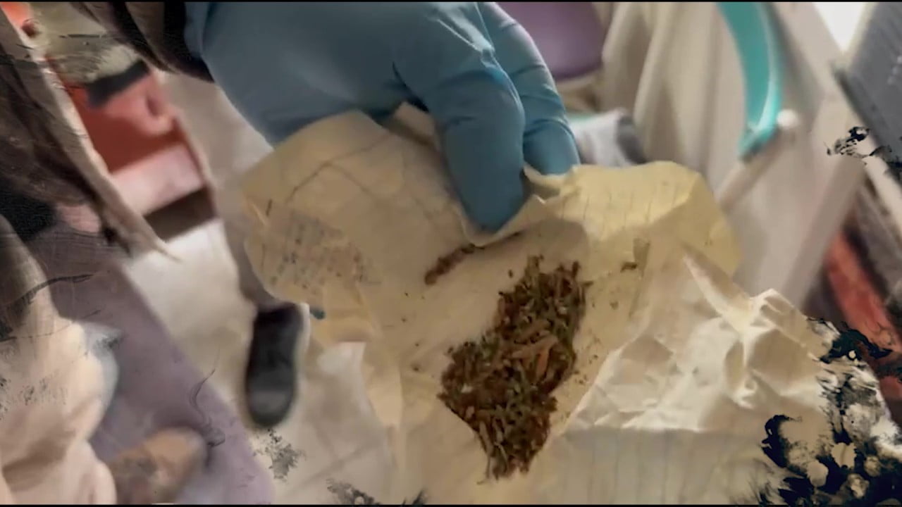 UŞAK’TA ZEHİR TACİRLERİNE YÖNELİK DÜZENLENEN EŞZAMANLI OPERASYONLARDA 8 ŞÜPHELİ YAKALANDI. YAPILAN...