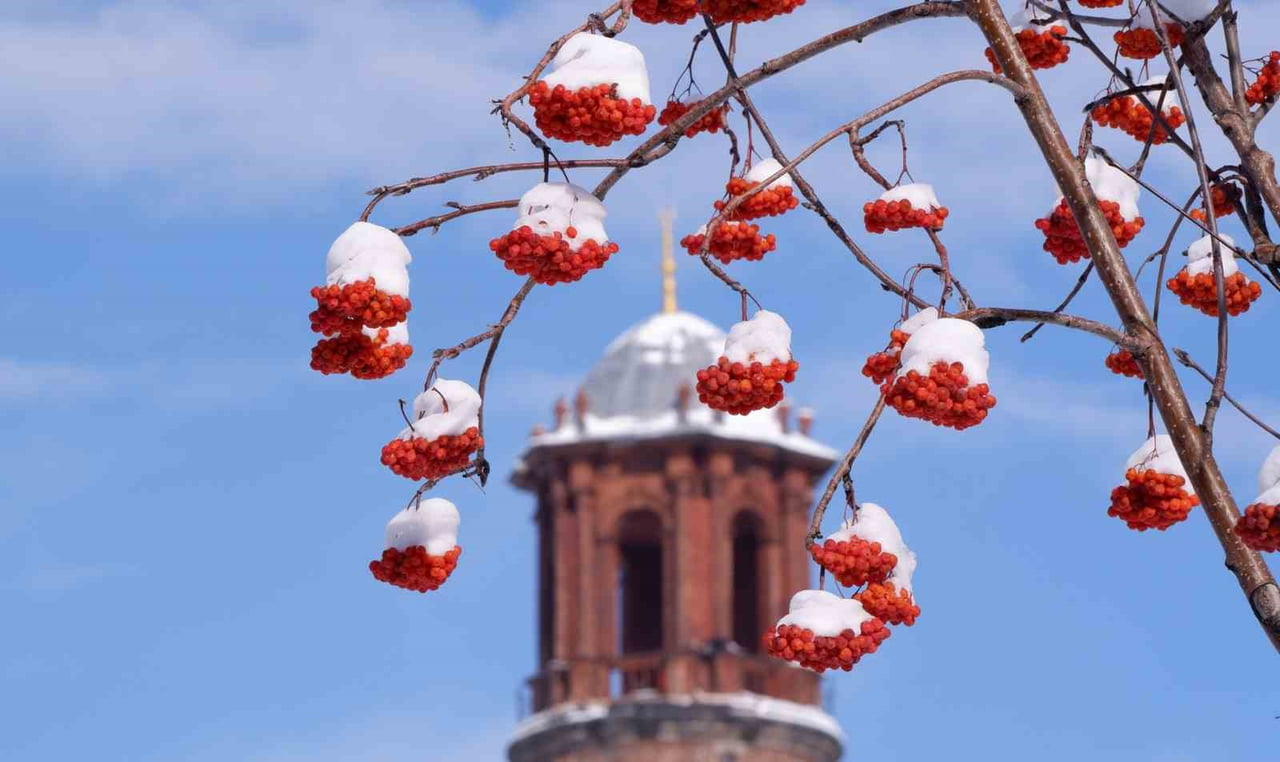UZMANLAR ERZURUM VE ÇEVRESİ İÇİN BUZLANMA VE DON UYARISI YAPTI, ÇIĞ TEHLİKESİNE DİKKAT...
