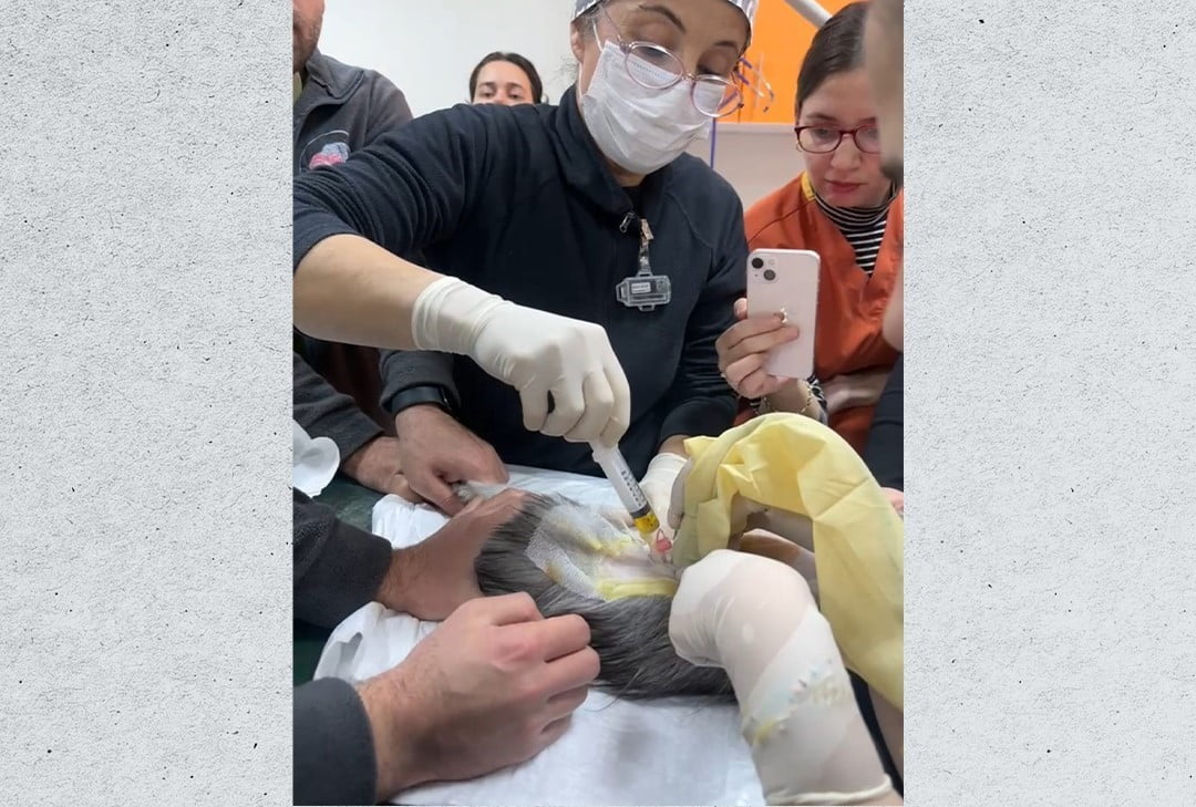 VETERİNER FAKÜLTESİ HAYVAN HASTANESİNDEN 2025’TE REKOR BAŞARI