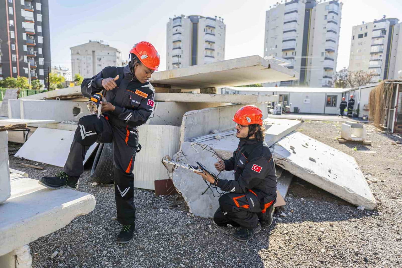YAKLAŞIK 3 YILLIK EĞİTİMLE İNSAN KOKUSUNU AYIRT EDEBİLEN AFRİKA KESELİ SIÇANLARININ SIRTLARINA...