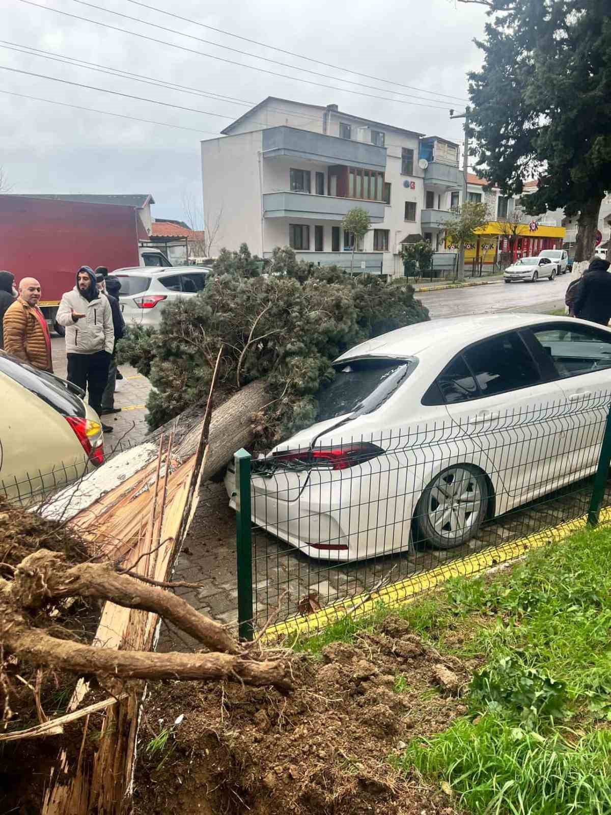 YALOVA'DA ETKİLİ OLAN FIRITINA HAYATI OLUMSUZ YÖNDE ETKİLİYOR. FIRTINADA ÇATILAR, AĞAÇLAR, VİNÇLER...