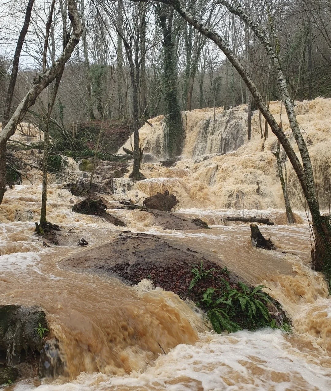 YAZ AYLARINDA KURAKLIK NEDENİYLE TAMAMEN KURUMA NOKTASINA GELEN KARAPINAR ŞELALESİ, ETKİLİ OLAN...