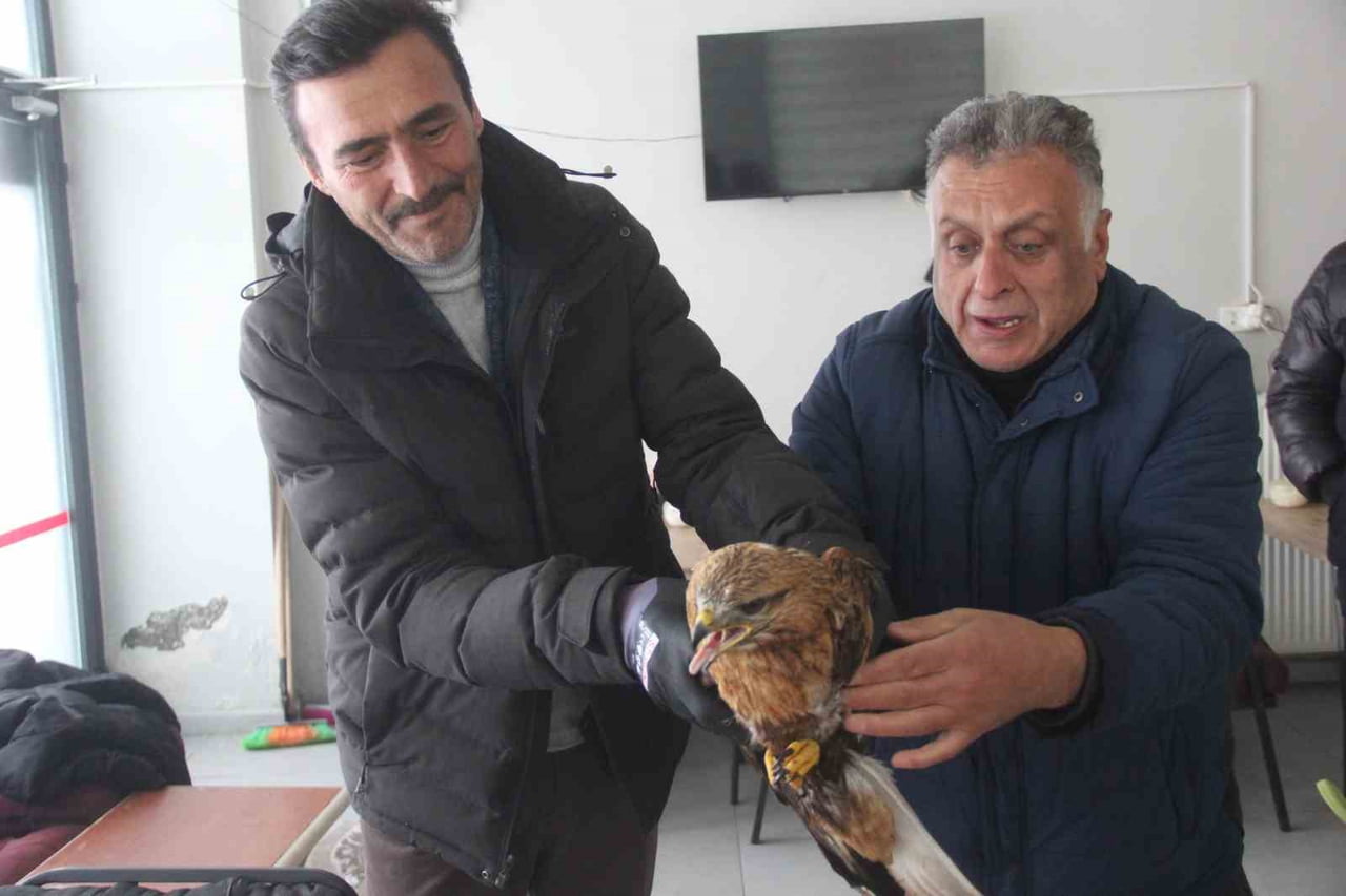 ZARA’DA BİR KAFE İŞLETMECİSİ, UÇAMAYAN KIZIL ŞAHİN’İ KURTARARAK ORMAN İŞLETME MÜDÜRLÜĞÜ EKİPLERİNE...