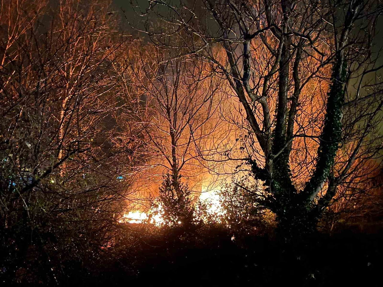 ZONGULDAK'IN ÇAYCUMA İLÇESİNE BAĞLI FİLYOS BELDESİNDE AĞAÇLIK ALANDA ÇIKAN YANGIN ÇIKTI. ÇIKAN...