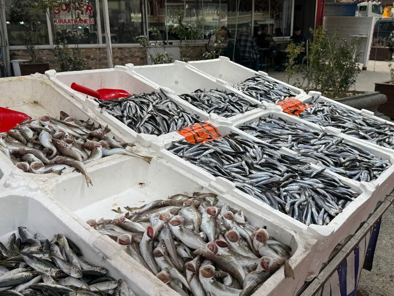 ZONGULDAKLI BALIKÇI ESNAFI OKTAY ERTÜRK, BALIK SEZONUNUN GİDİŞATINI VE FİYATLARDAKİ DALGALANMAYI...