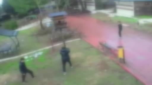 4 genç kuş yuvasını böyle parçaladı