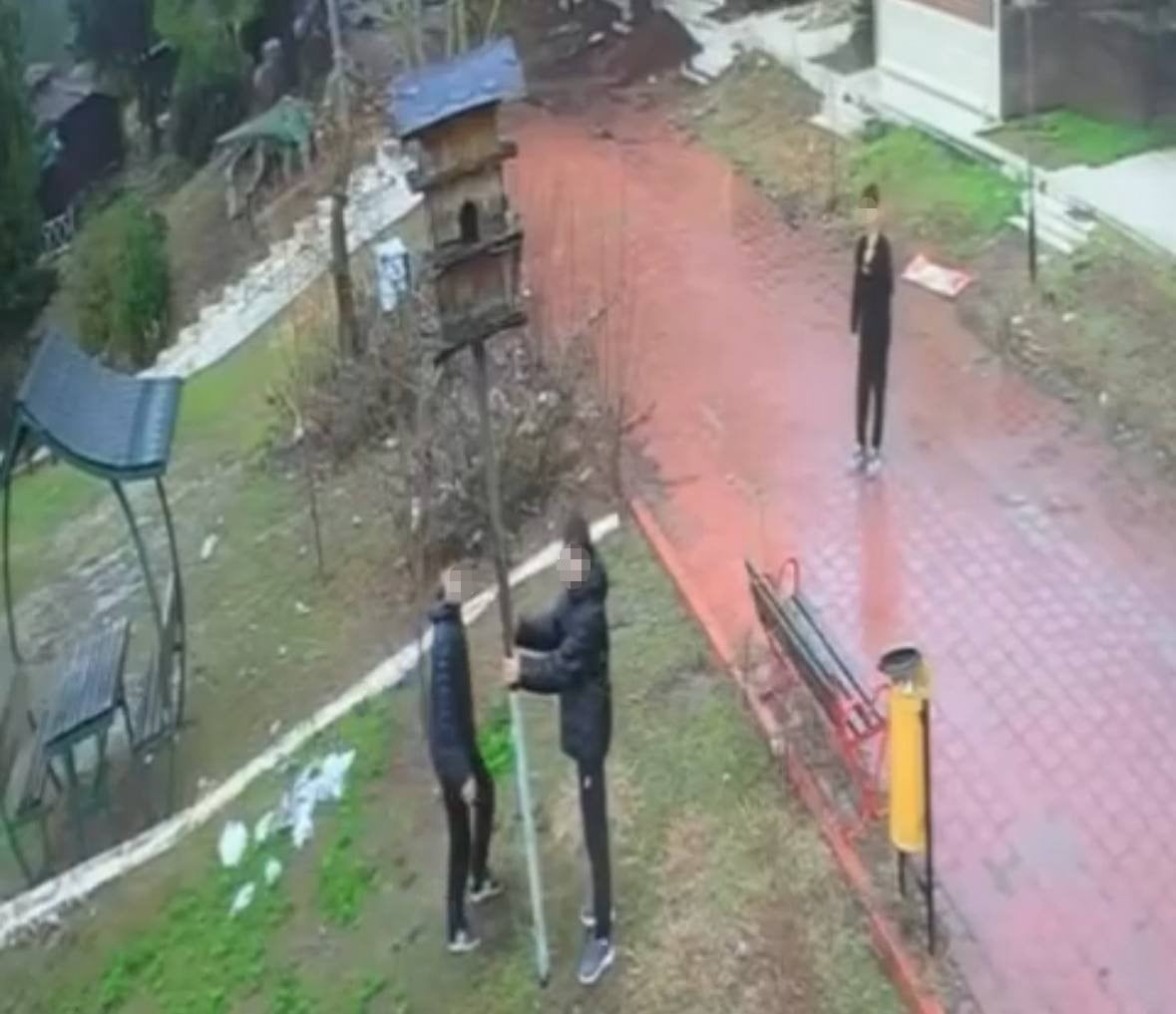 ADANA’DA 4 GENÇ PARKTAKİ KUŞ YUVASINA ZARAR VERDİ.