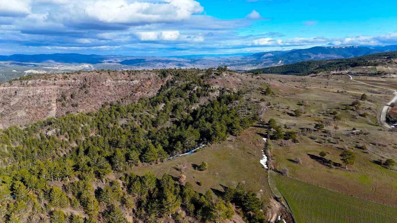 KASTAMONU'NUN İHSANGAZİ'NİN İLÇESİNDE KARLARIN ERİMESİYLE BİRLİKTE YEŞİL ÖRTÜYLE KAPLANMAYA...