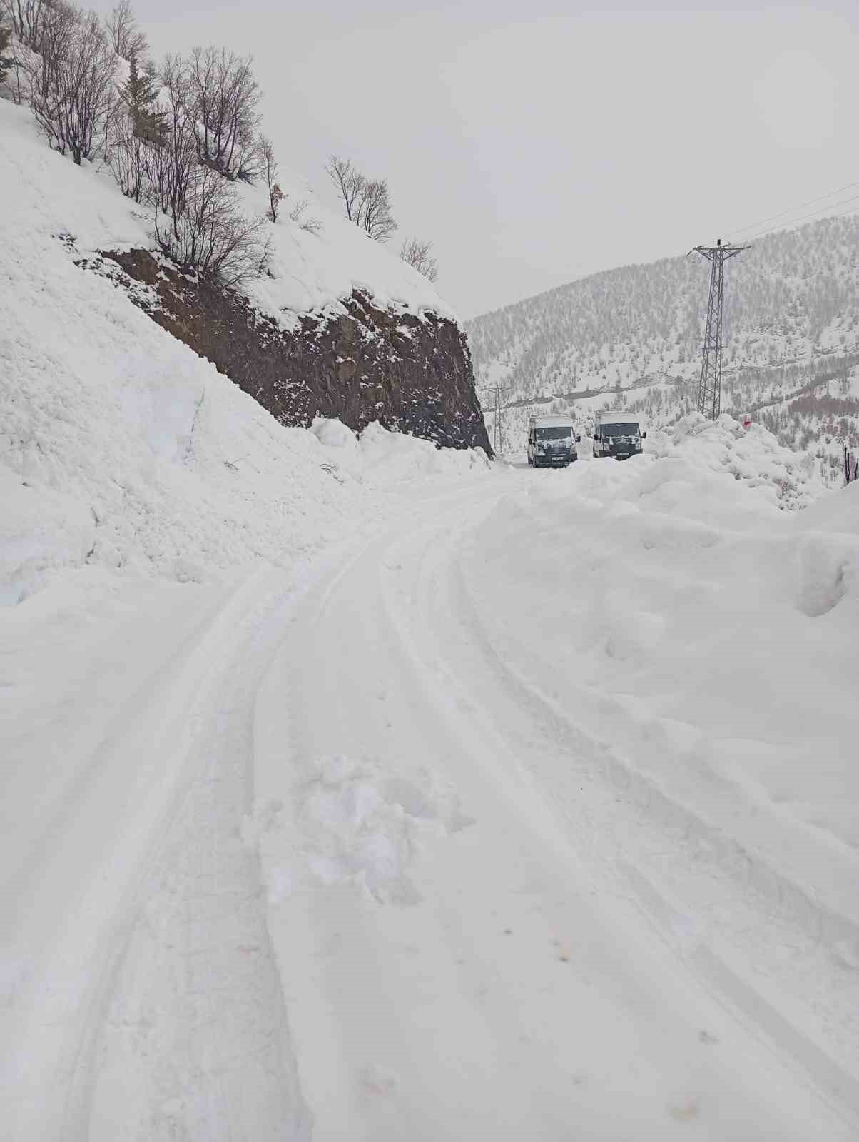 SİİRT'İN ŞİRVAN İLÇESİNDE KAR YAĞIŞI NEDENİYLE YOLDA KALAN ARAÇLAR KURTARILDI.