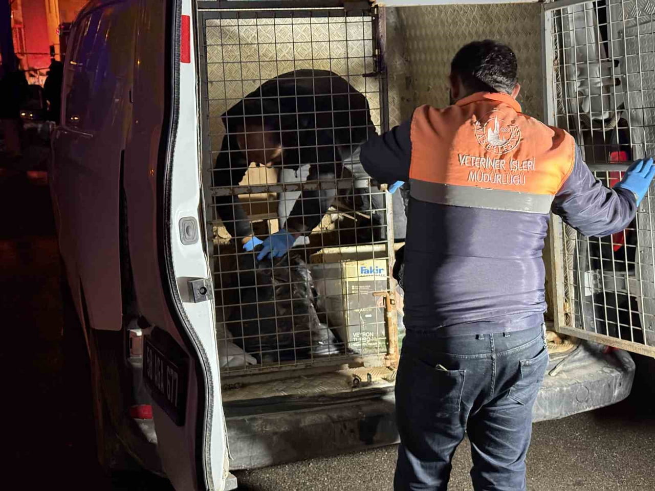 SİVAS’TA İKİ KATLI BİR İKAMETTE ÇIKAN YAĞINDA, EVDE BESLENİLDİĞİ DÜŞÜNÜLEN 26 KEDİ TELEF OLDU, 10...