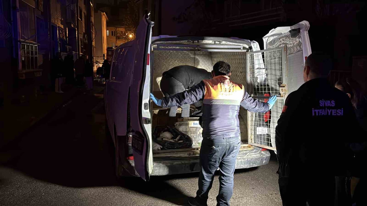 SİVAS’TA İKİ KATLI BİR İKAMETTE ÇIKAN YAĞINDA, EVDE BESLENİLDİĞİ DÜŞÜNÜLEN 26 KEDİ TELEF OLDU, 10...