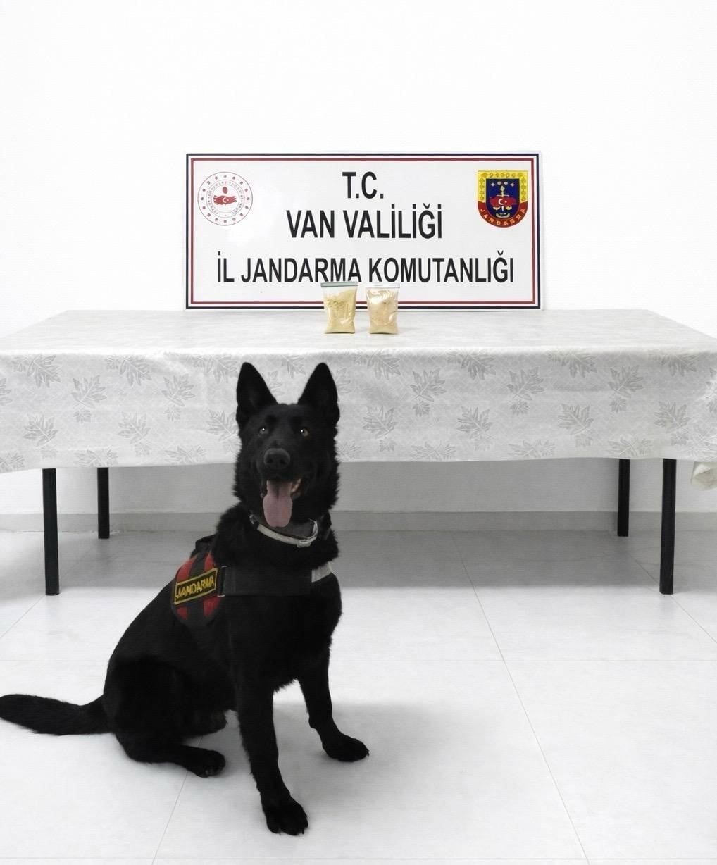 VAN'IN BAŞKALE İLÇESİNDE JANDARMA EKİPLERİ TARAFINDAN YAPILAN ÇALIŞMALAR SONUCUNDA UYRUKLU ŞAHSIN...