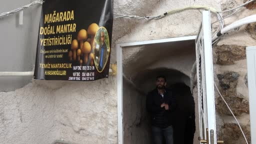 2 bin yıllık tarihi mağarada mantar üretim tesisi kurdu